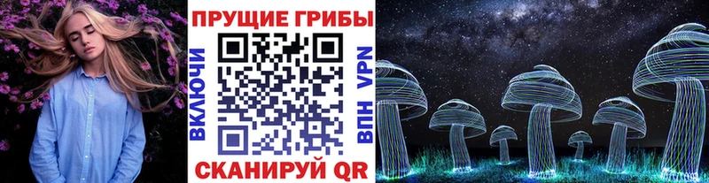 Галлюциногенные грибы прущие грибы  Касимов 