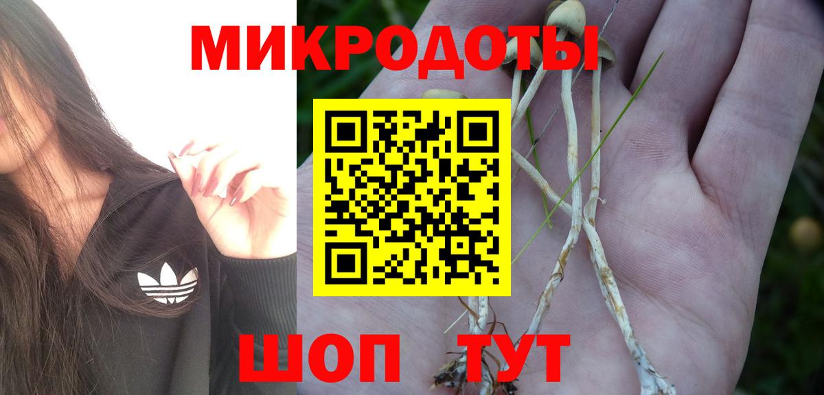 Псилоцибиновые грибы GOLDEN TEACHER Касимов