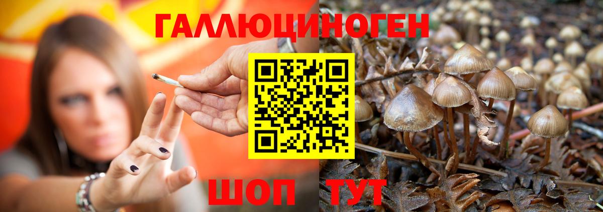 Псилоцибиновые грибы Psilocybine cubensis  Вход с VPN  купить закладку  Касимов 